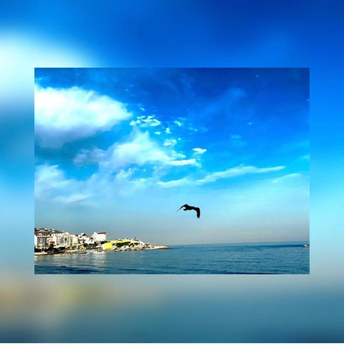 Apartamento Frente Al Mar Benidorm Eksteriør billede
